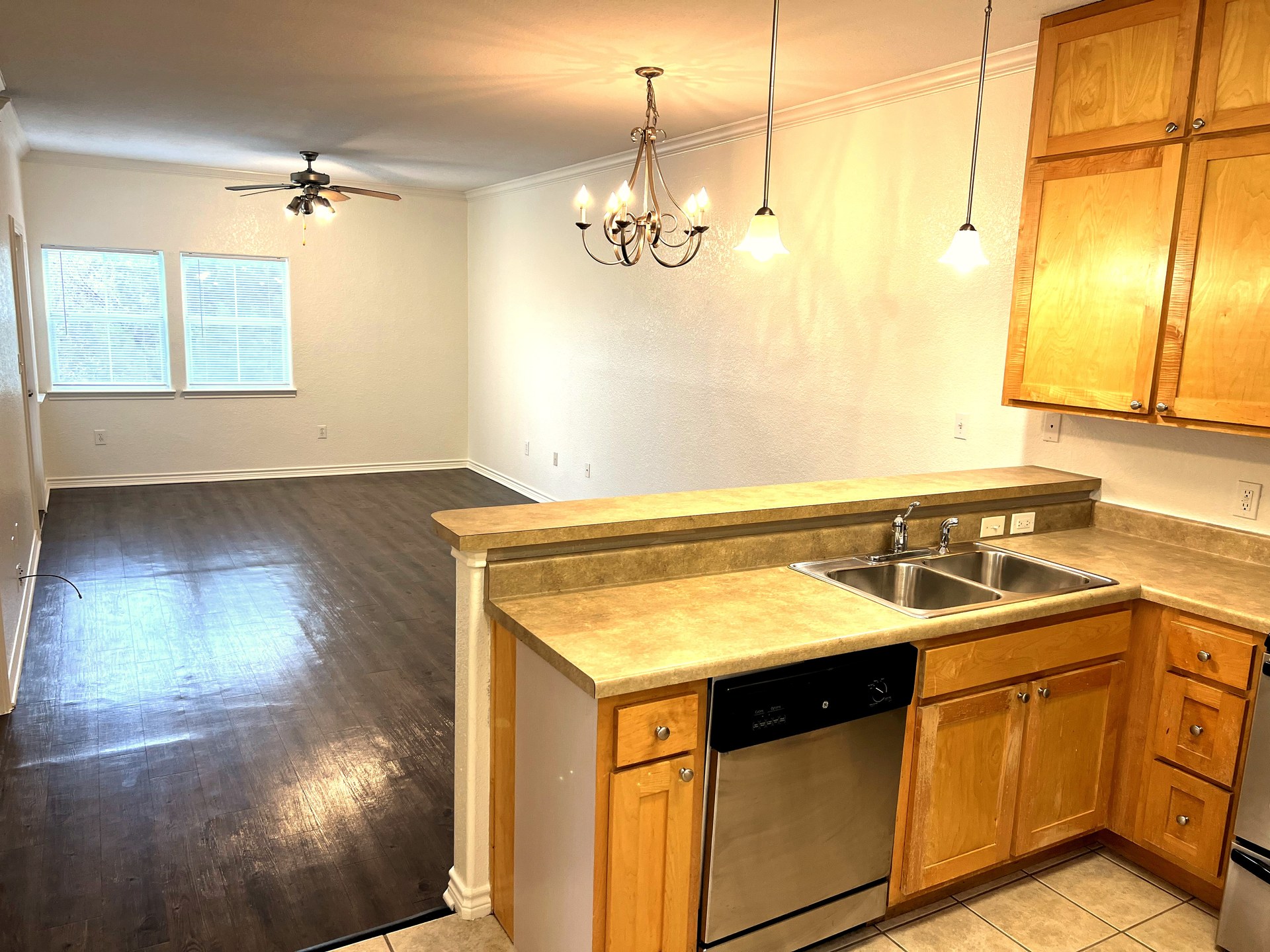Kitchen & Living Room